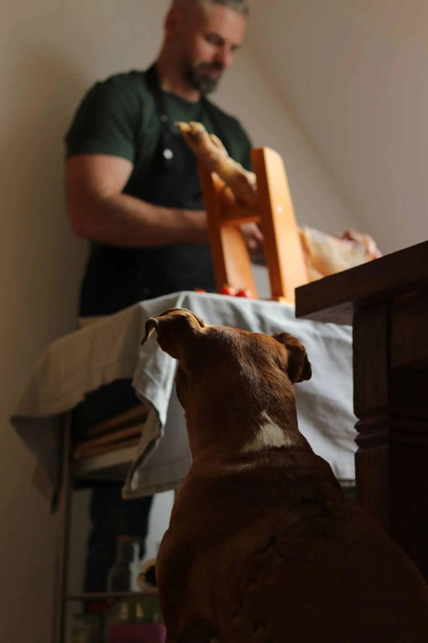 Jens von La Tradición schneidet spanischen Jamón, Hund Ragnar schaut zu