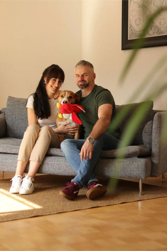 Paar sitzt auf einem Sofa und hält einen kleinen Hund mit rotem Schal, warme Wohnzimmeratmosphäre.