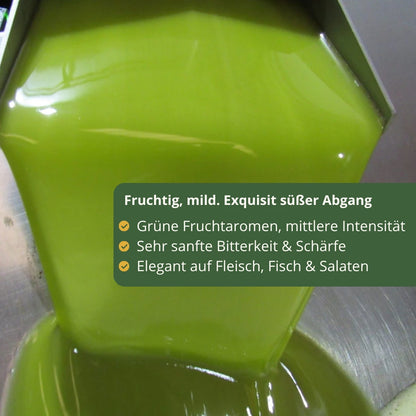 Frisch gepresstes grünes Olivenoel fliesst aus Edelstahlanlage kaltgepresst ohne Waermezufuhr Arbequina natives Olivenoel extra hohe Qualitaet
