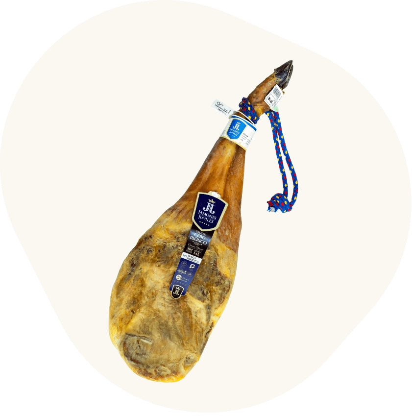 Ganzer Ibérico-Schinken (Jamón Ibérico) am Knochen, gereift und mit Herstelleretikett – hochwertige spanische Delikatesse für traditionellen Genuss.