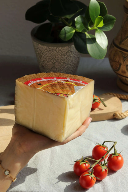 Gereifter Mischkäse (Queso de Mezcla Curado) als großes Stück mit brauner Rinde, auf einer Hand gehalten, daneben Rispe roter Cherrytomaten