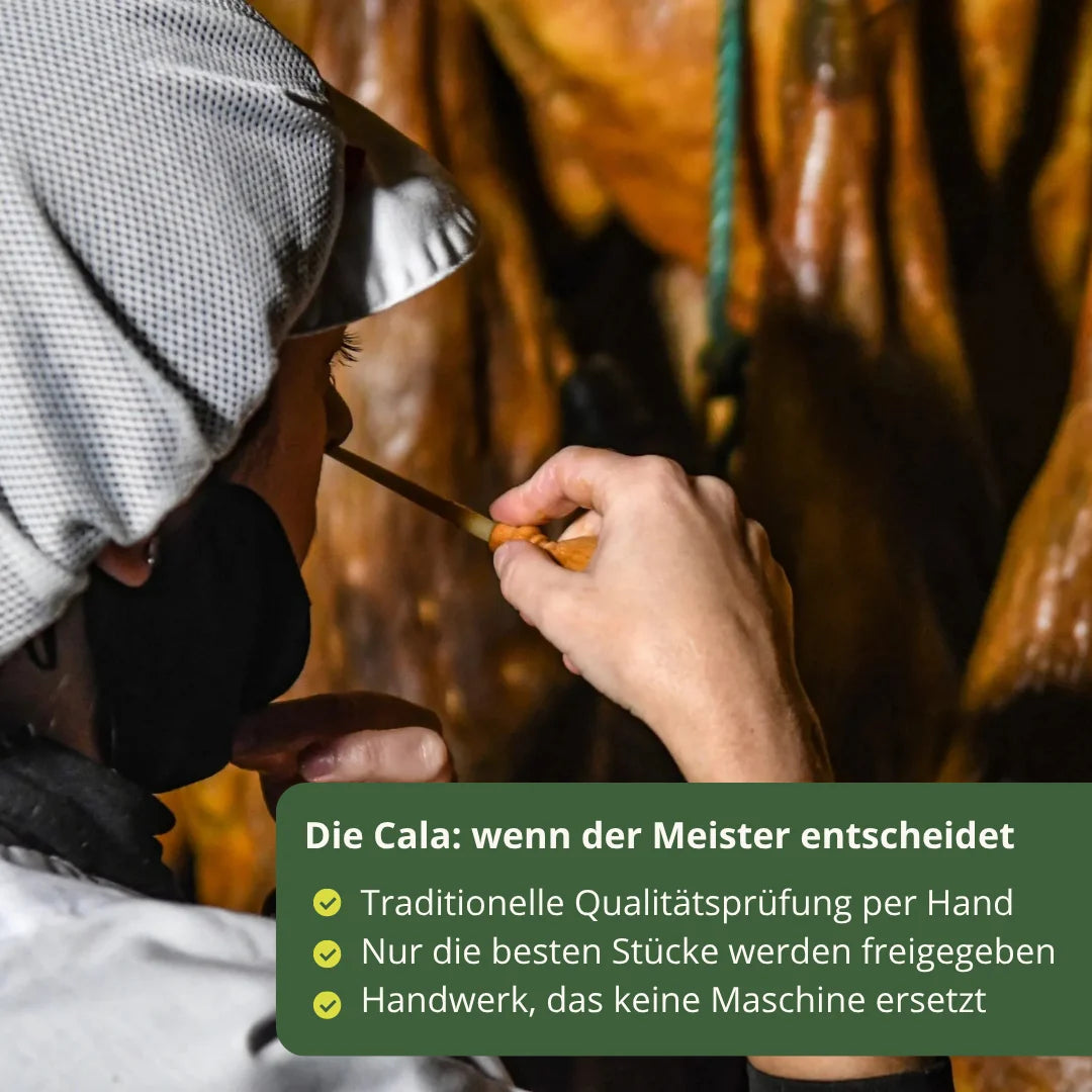 Traditionelle Cala Pruefung bei Jamones Majada Pedroche. Der Meister entscheidet per Hand ueber die Qualitaet jedes einzelnen Jamons.