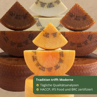 Spanischer Manchego Kaese traditionelle Herstellung kombiniert mit modernen Qualitaetskontrollen und Zertifizierungen