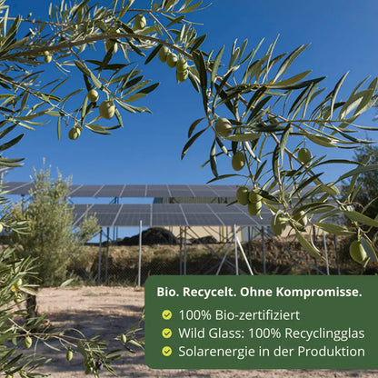 Olivenoel 12Mil Royales Bio zertifiziert nachhaltige Produktion mit Solarenergie Recyclingglas in Andalusien Spanien umweltfreundlich Premium Qualitaet