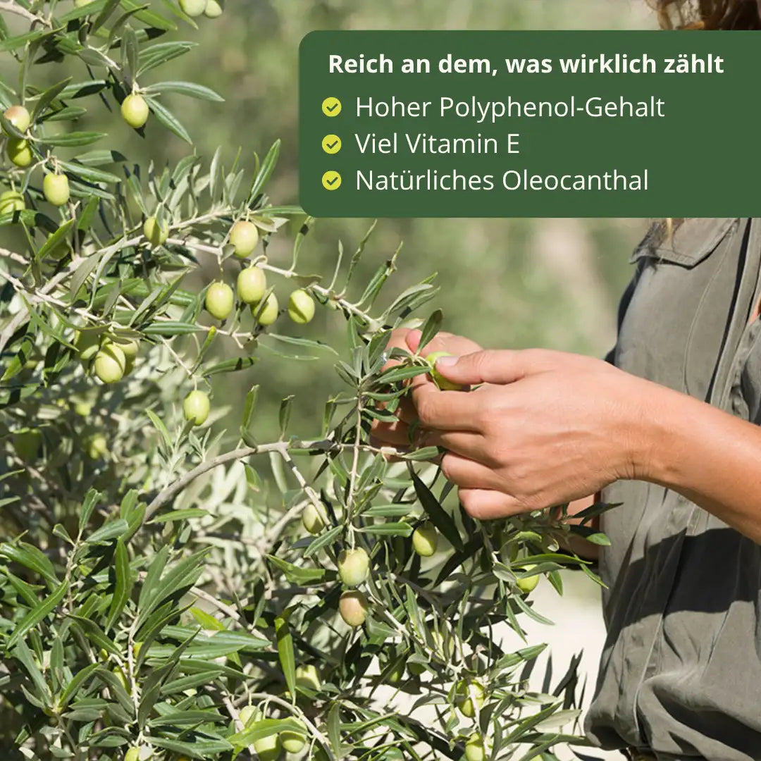 Olivenoel 12Mil Royales native extra reich an Polyphenolen Vitamin E und Oleocanthal frische Oliven von Hand geerntet Andalusien Spanien Premium Qualitaet