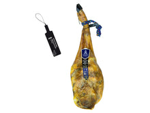 Produktbild einer ganzen Paleta de Trevelez der Marke Tradition de Trevelez vor weissem Hintergrund. Die luftgetrocknete Vorderschulter vom Pata Negra Schwein reift naturbelassen in den Alpujarras ohne Zusatzstoffe. Sie hat eine runde Form, eine dunkle Klaue, eine rot-weiss gestreifte Kordel und das offizielle blaue Siegel der geschuetzten geografischen Angabe IGP Jamon de Trevelez am Hufeisen.