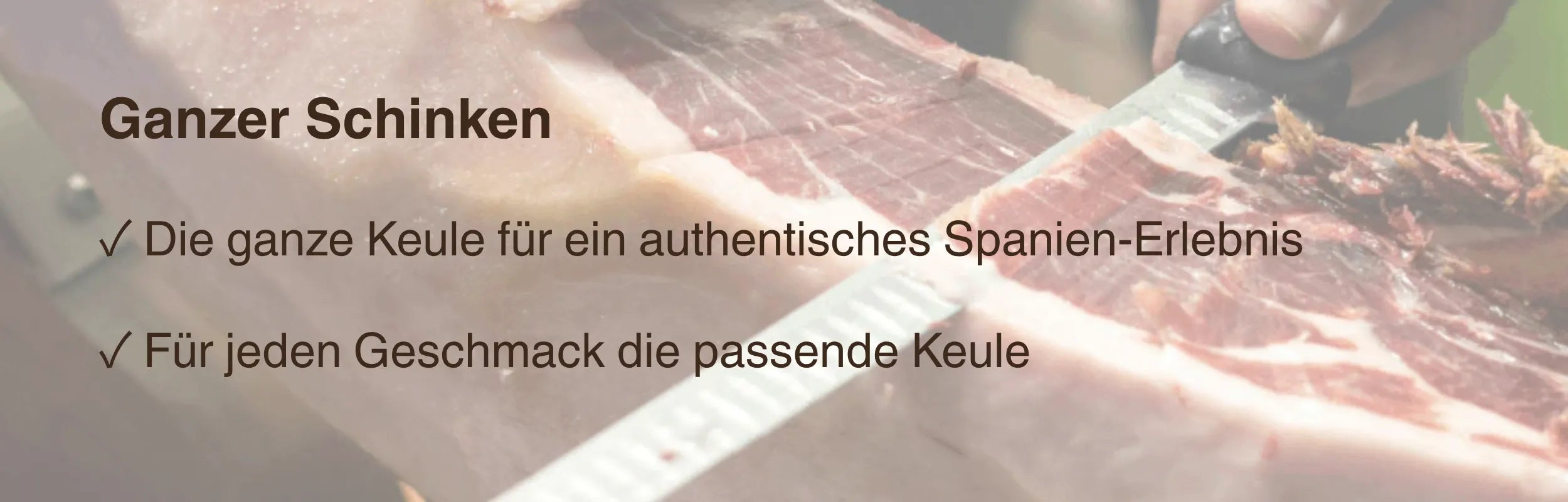 Ganzer Schinken Banner: Die ganze Keule für ein authentisches Spanien-Erlebnis, für jeden Geschmack – La Tradición