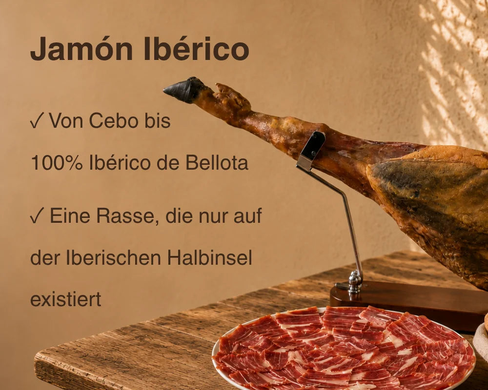 Jamón Ibérico, von Cebo bis 100% Ibérico de Bellota, spanische Ibérico-Rasse, La Tradición