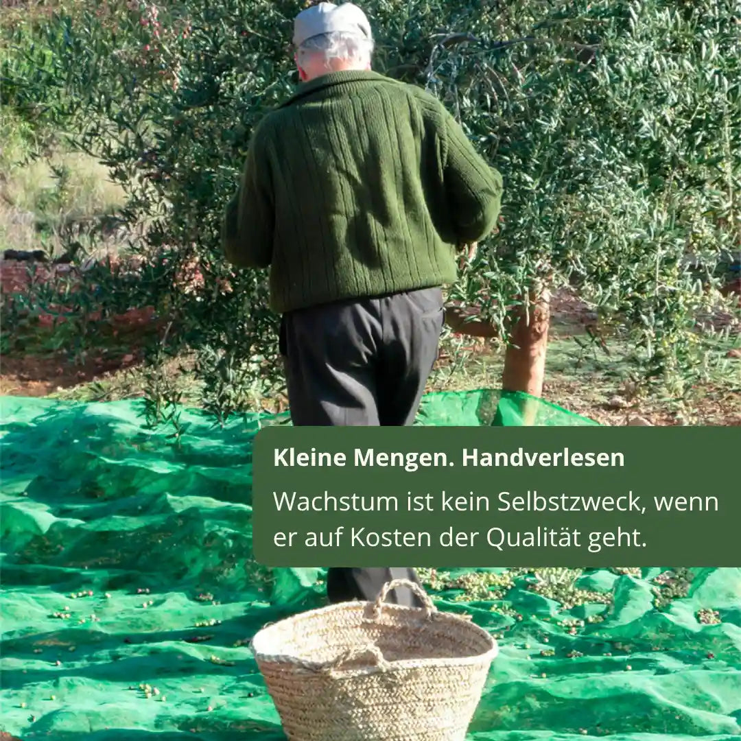 Priorat Natur: kleine Mengen, handverlesene Ernte im Priorat, Qualität vor Wachstum – La Tradición