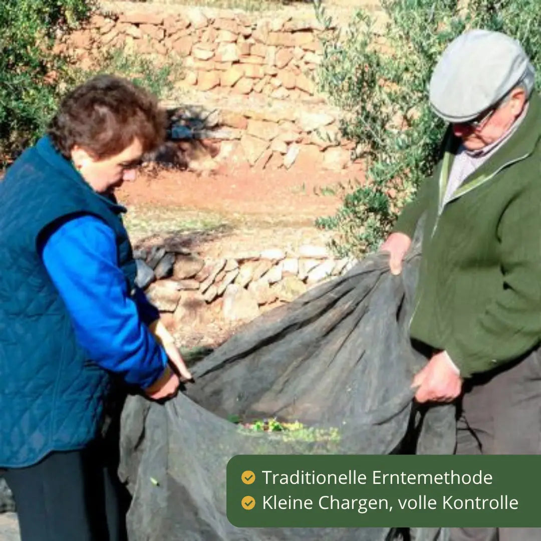 Priorat Natur: traditionelle Erntemethode, kleine Chargen mit voller Kontrolle im Priorat – La Tradición