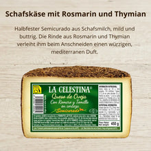 Schafskäse Semicurado mit Rosmarin und Thymian in der Rinde von La Celestina, halbfest und mild, 450 g Stück auf Holz