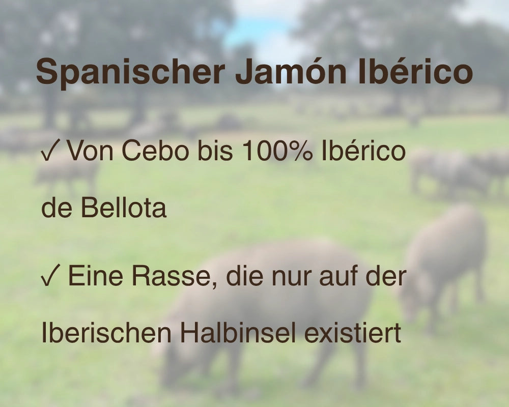 Spanischer Jamón Ibérico: Von Cebo bis 100% Ibérico de Bellota, einzigartige Rasse der Iberischen Halbinsel – La Tradición